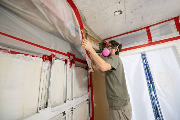 Best Attic Mold Removal  in Dyer, TN